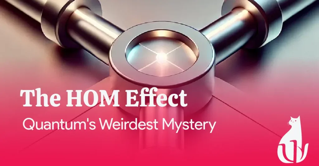 The HOM Effect-Quantum's weirdest mystery